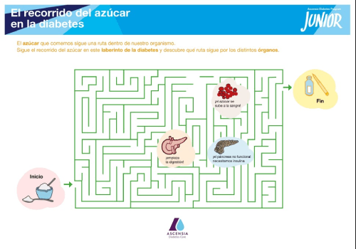 My Child has Diabetes Brochure